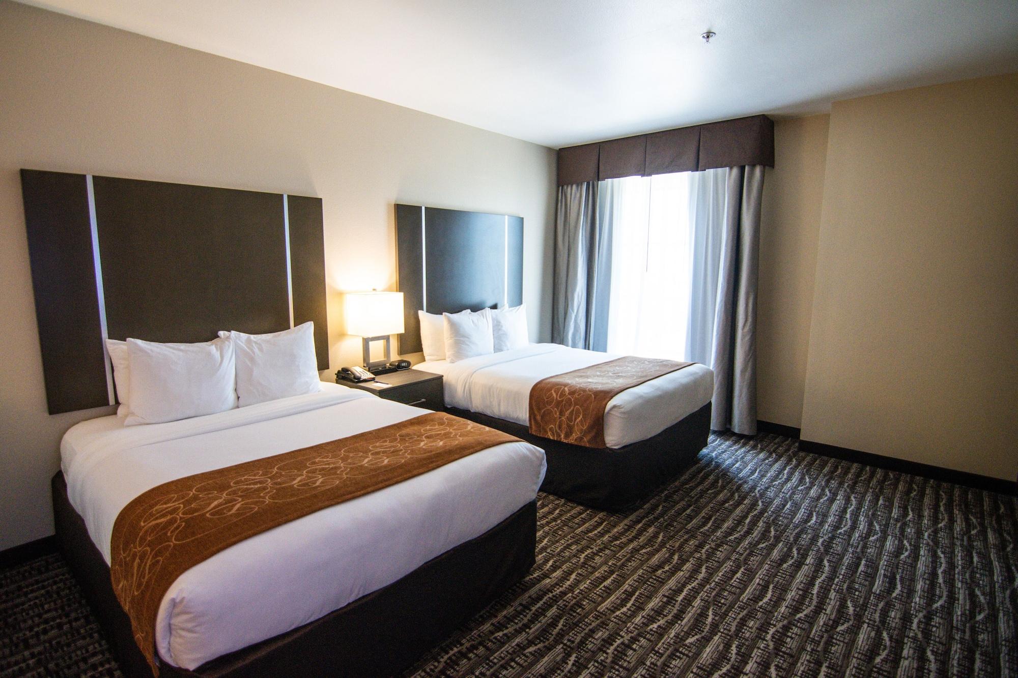 Comfort Suites Near Sam Houston Race Park Jersey Village Luaran gambar
