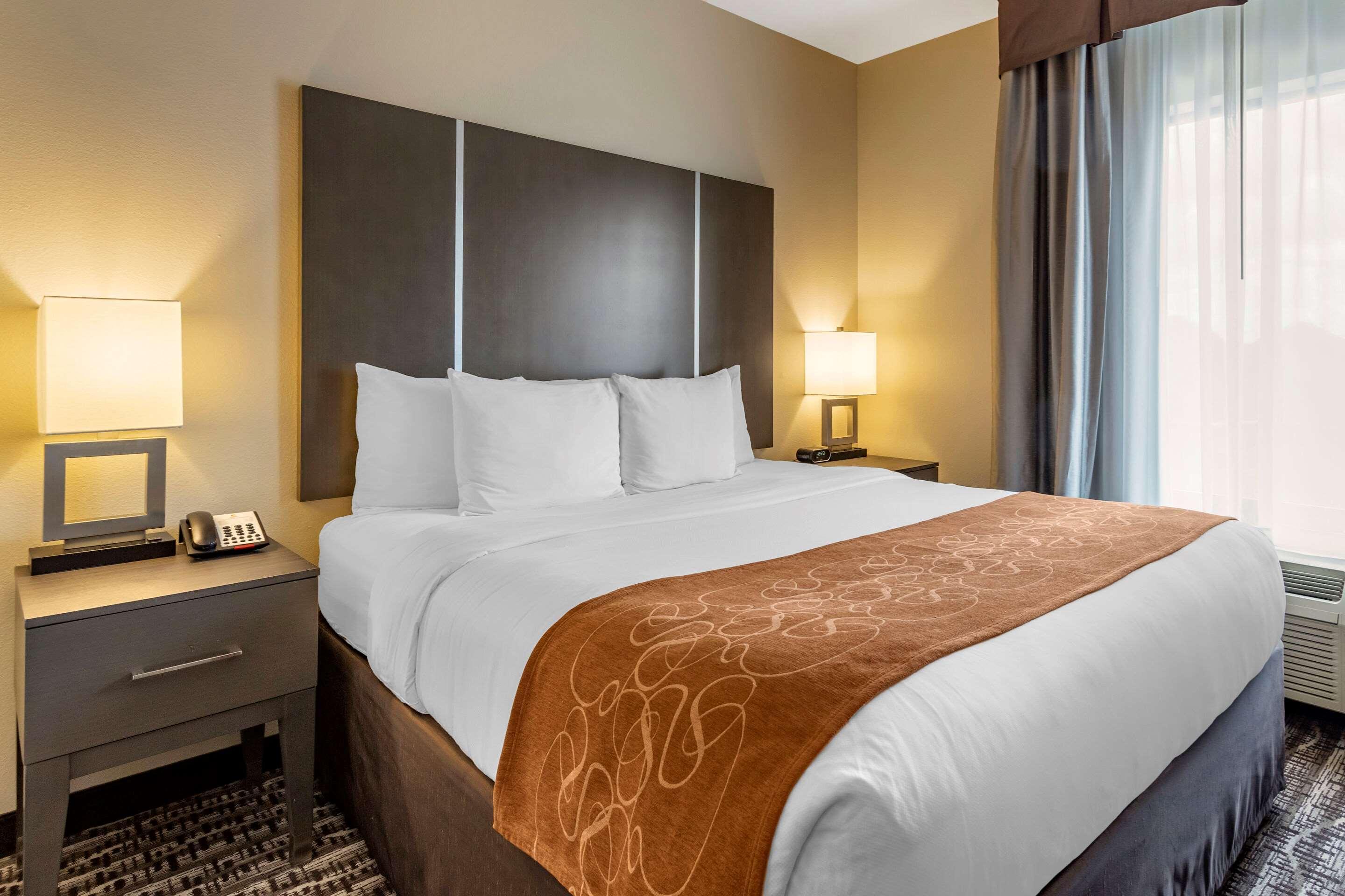Comfort Suites Near Sam Houston Race Park Jersey Village Luaran gambar