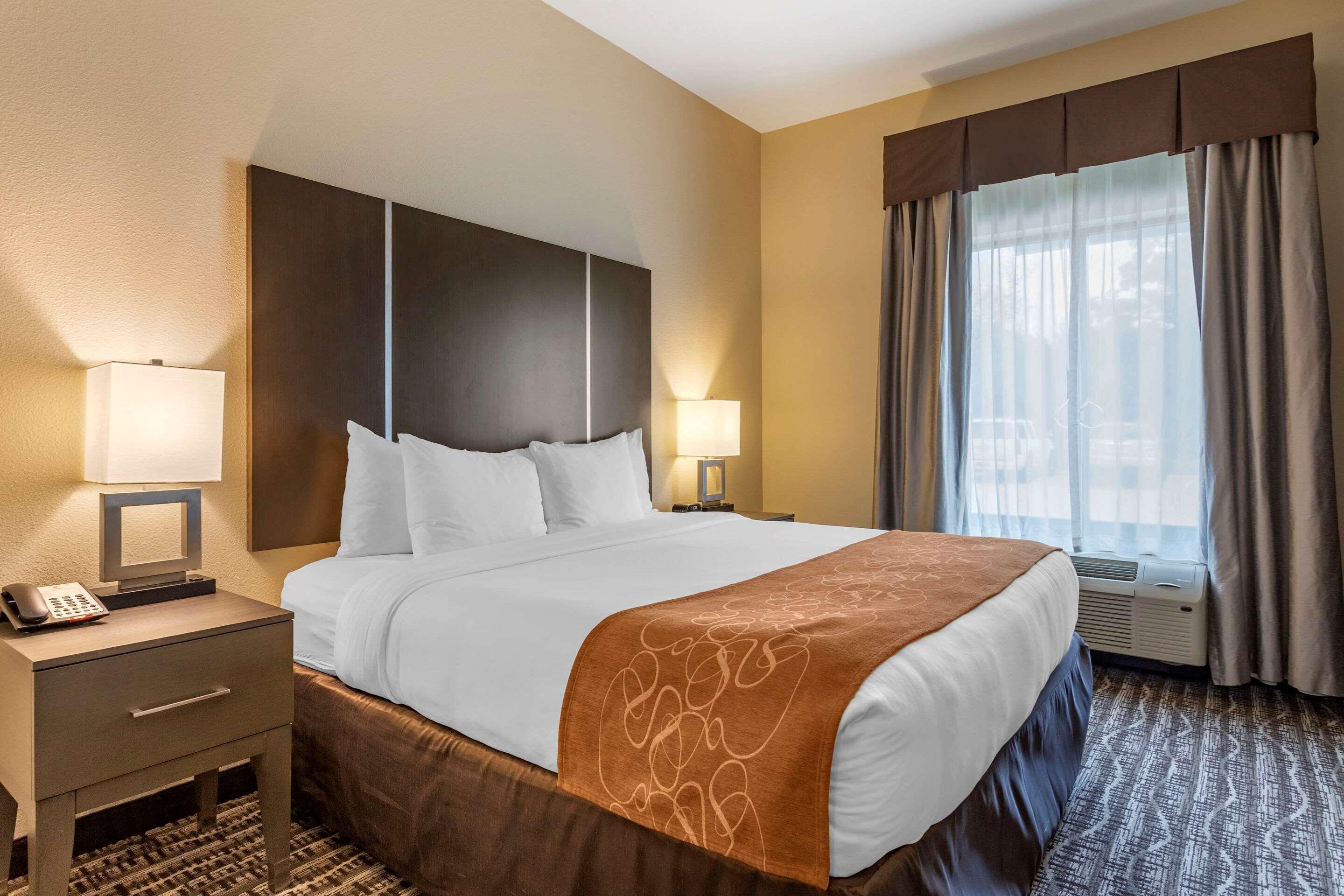 Comfort Suites Near Sam Houston Race Park Jersey Village Luaran gambar