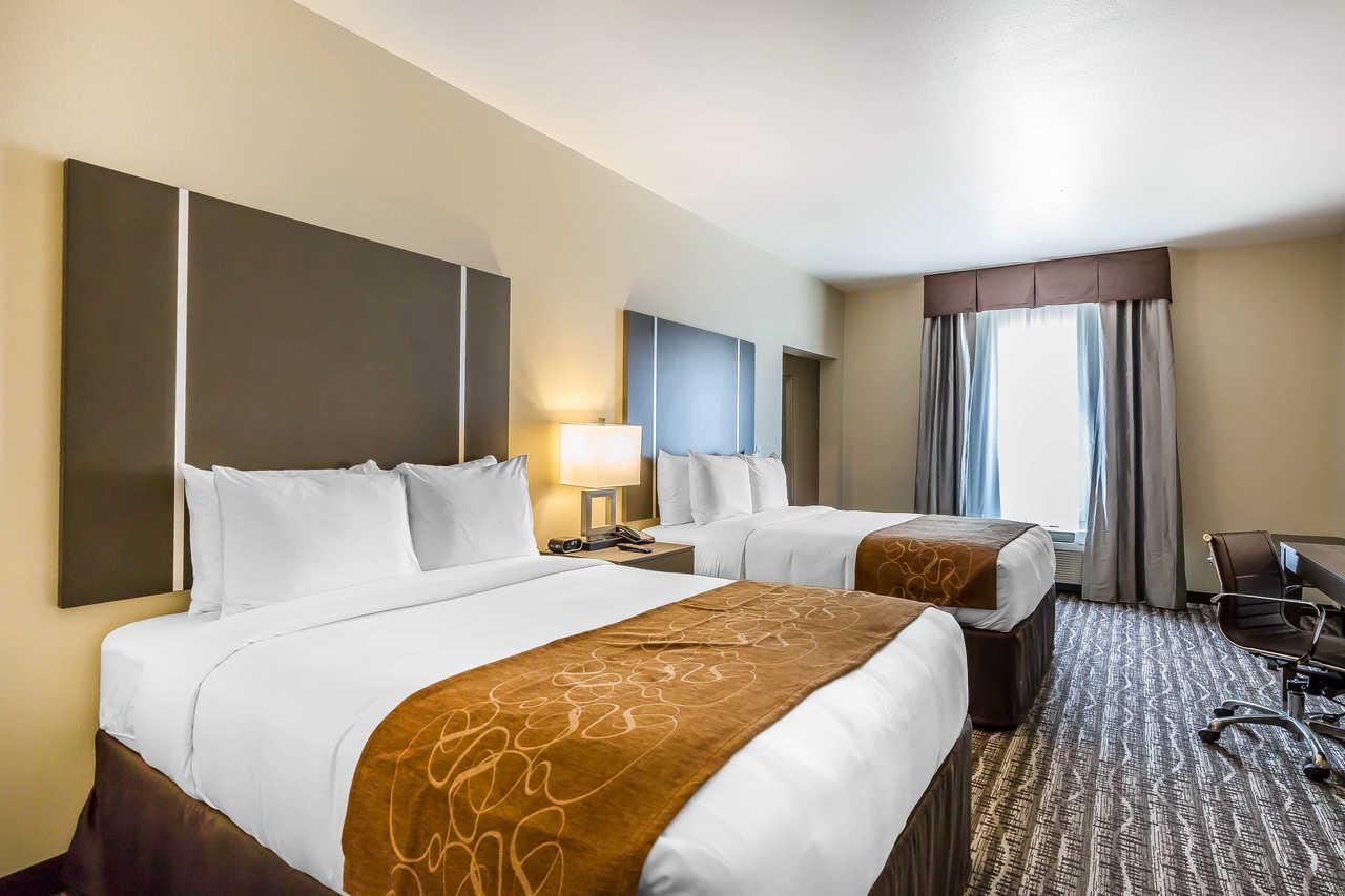 Comfort Suites Near Sam Houston Race Park Jersey Village Luaran gambar