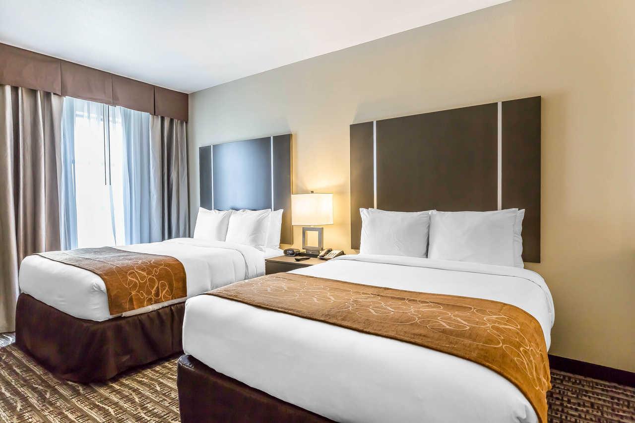 Comfort Suites Near Sam Houston Race Park Jersey Village Luaran gambar