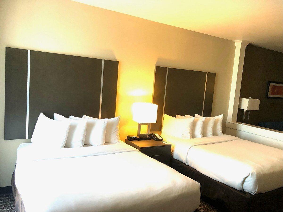 Comfort Suites Near Sam Houston Race Park Jersey Village Luaran gambar