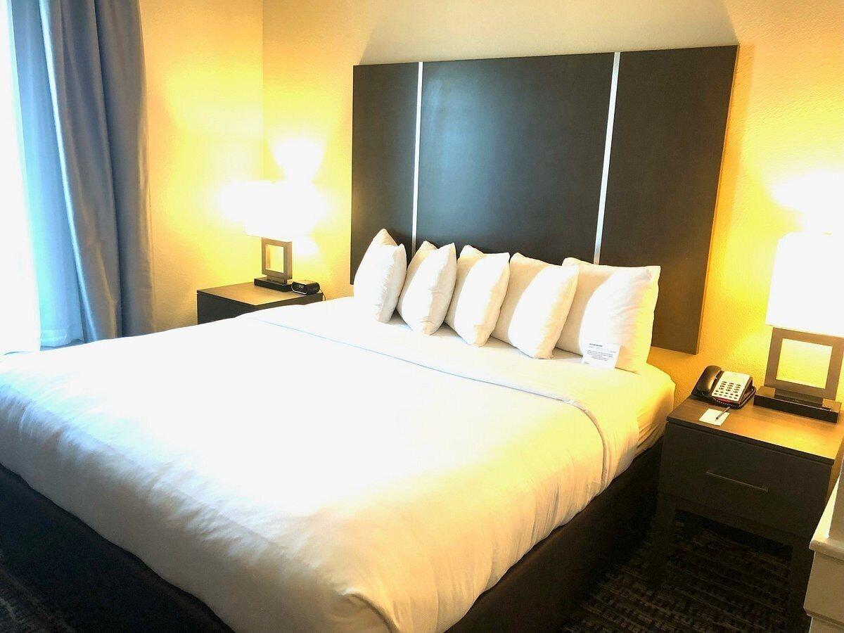 Comfort Suites Near Sam Houston Race Park Jersey Village Luaran gambar